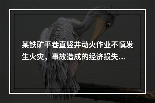 某铁矿平巷直竖井动火作业不慎发生火灾，事故造成的经济损失有：