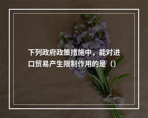 下列政府政策措施中，能对进口贸易产生限制作用的是（）