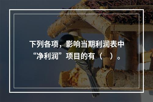 下列各项，影响当期利润表中“净利润”项目的有（　）。