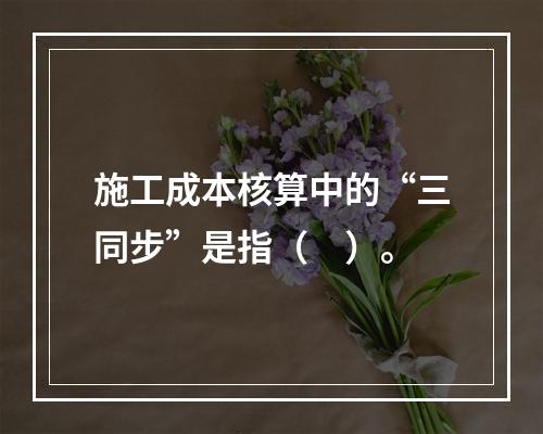 施工成本核算中的“三同步”是指（　）。