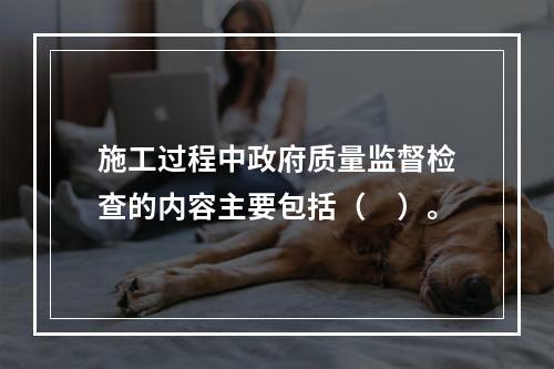 施工过程中政府质量监督检查的内容主要包括（　）。