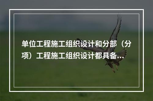 单位工程施工组织设计和分部（分项）工程施工组织设计都具备的内