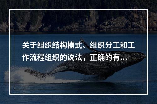 关于组织结构模式、组织分工和工作流程组织的说法，正确的有（　