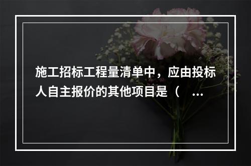 施工招标工程量清单中，应由投标人自主报价的其他项目是（　）。