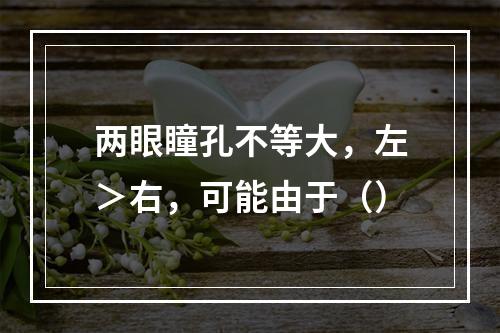 两眼瞳孔不等大，左＞右，可能由于（）