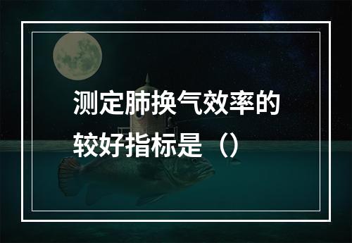 测定肺换气效率的较好指标是（）