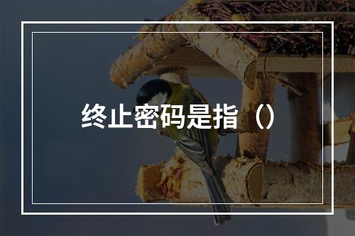 终止密码是指（）