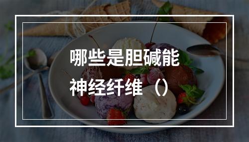 哪些是胆碱能神经纤维（）