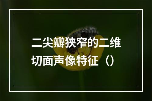 二尖瓣狭窄的二维切面声像特征（）