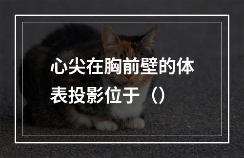 心尖在胸前壁的体表投影位于（）