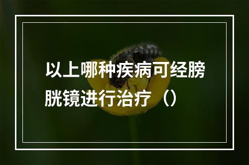 以上哪种疾病可经膀胱镜进行治疗（）