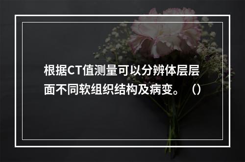 根据CT值测量可以分辨体层层面不同软组织结构及病变。（）