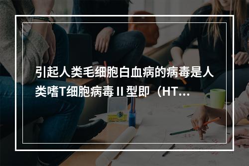 引起人类毛细胞白血病的病毒是人类嗜T细胞病毒Ⅱ型即（HTLV