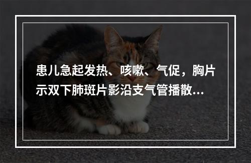 患儿急起发热、咳嗽、气促，胸片示双下肺斑片影沿支气管播散，应