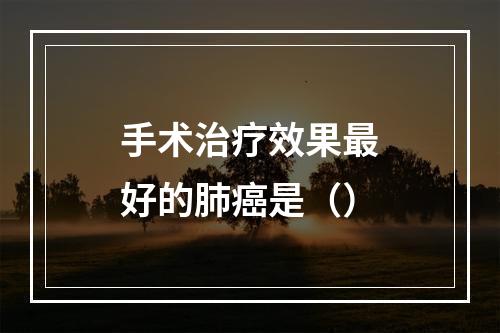 手术治疗效果最好的肺癌是（）