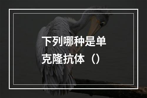 下列哪种是单克隆抗体（）