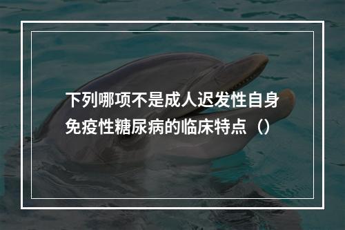 下列哪项不是成人迟发性自身免疫性糖尿病的临床特点（）