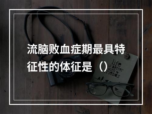 流脑败血症期最具特征性的体征是（）