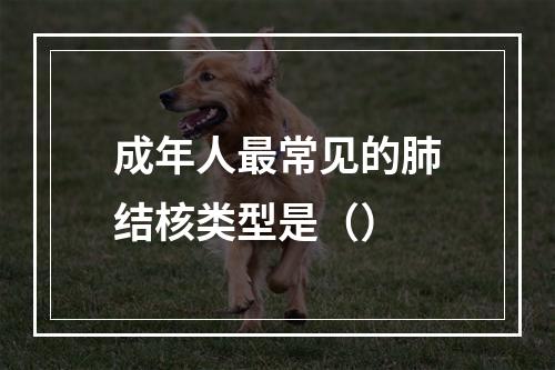 成年人最常见的肺结核类型是（）