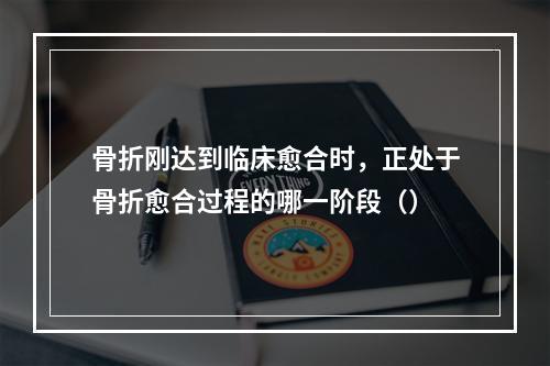 骨折刚达到临床愈合时，正处于骨折愈合过程的哪一阶段（）