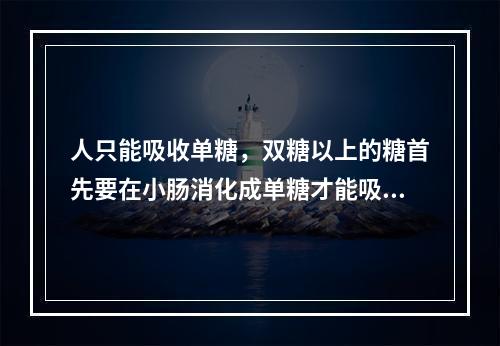 人只能吸收单糖，双糖以上的糖首先要在小肠消化成单糖才能吸收。