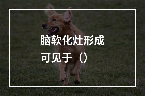 脑软化灶形成可见于（）