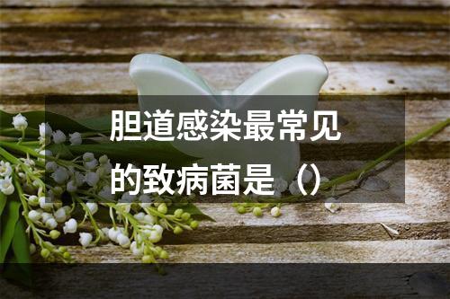 胆道感染最常见的致病菌是（）