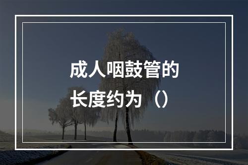 成人咽鼓管的长度约为（）