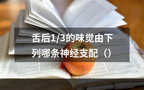 舌后1/3的味觉由下列哪条神经支配（）