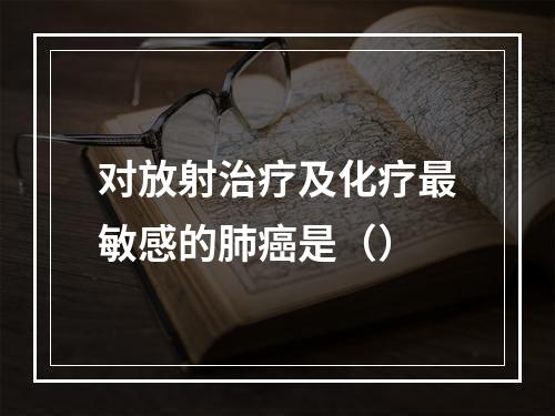 对放射治疗及化疗最敏感的肺癌是（）