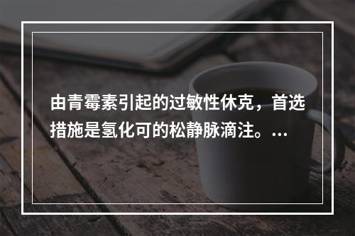 由青霉素引起的过敏性休克，首选措施是氢化可的松静脉滴注。（）