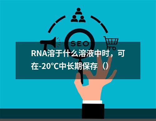 RNA溶于什么溶液中时，可在-20℃中长期保存（）