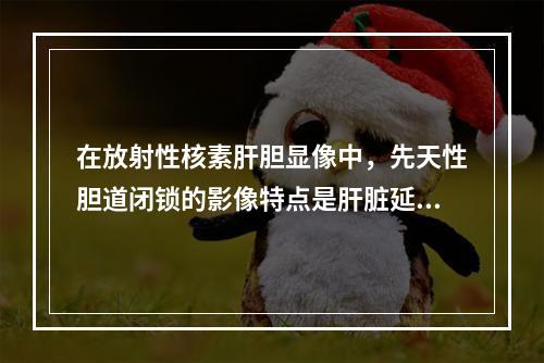 在放射性核素肝胆显像中，先天性胆道闭锁的影像特点是肝脏延迟显