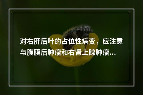 对右肝后叶的占位性病变，应注意与腹膜后肿瘤和右肾上腺肿瘤相鉴