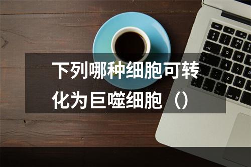 下列哪种细胞可转化为巨噬细胞（）