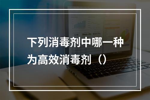 下列消毒剂中哪一种为高效消毒剂（）