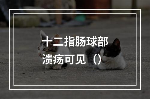 十二指肠球部溃疡可见（）