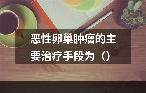 恶性卵巢肿瘤的主要治疗手段为（）