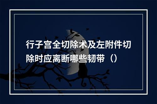 行子宫全切除术及左附件切除时应离断哪些韧带（）