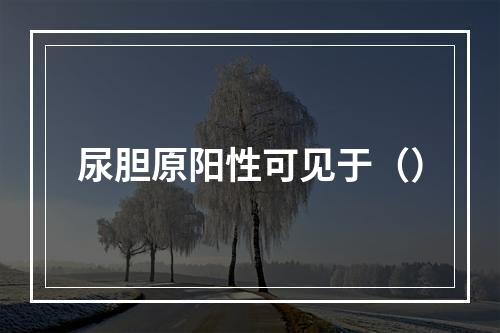 尿胆原阳性可见于（）