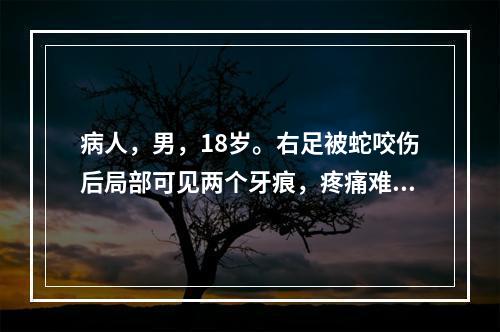 病人，男，18岁。右足被蛇咬伤后局部可见两个牙痕，疼痛难忍，