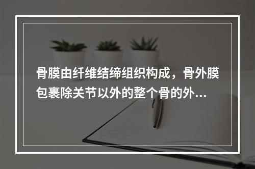 骨膜由纤维结缔组织构成，骨外膜包裹除关节以外的整个骨的外表面