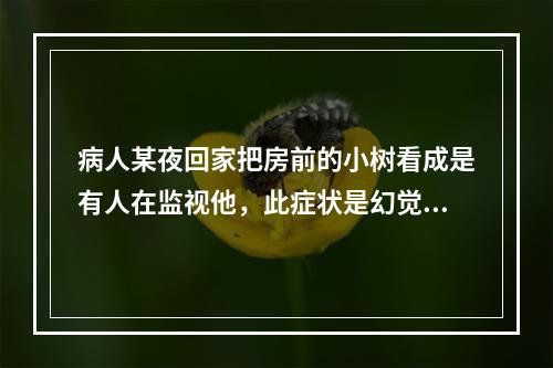 病人某夜回家把房前的小树看成是有人在监视他，此症状是幻觉。（