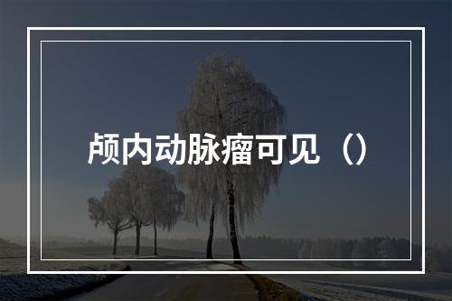 颅内动脉瘤可见（）