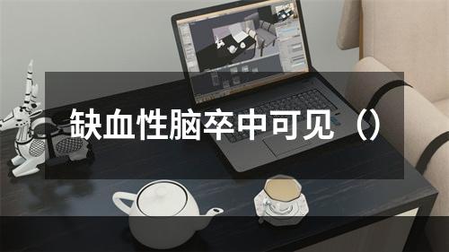 缺血性脑卒中可见（）