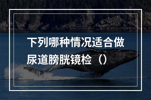 下列哪种情况适合做尿道膀胱镜检（）