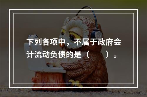 下列各项中，不属于政府会计流动负债的是（　　）。