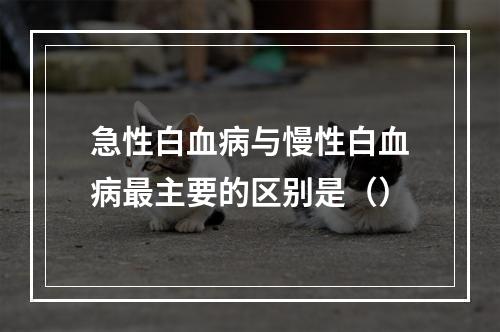 急性白血病与慢性白血病最主要的区别是（）