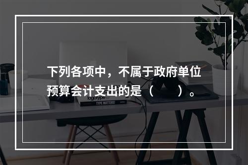 下列各项中，不属于政府单位预算会计支出的是（　　）。