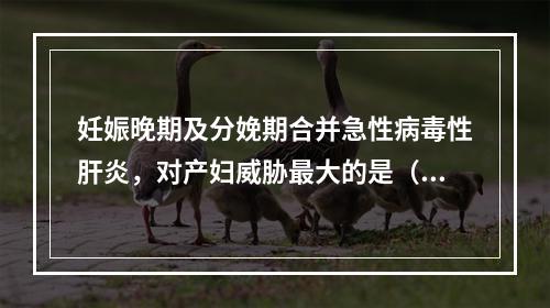 妊娠晚期及分娩期合并急性病毒性肝炎，对产妇威胁最大的是（）